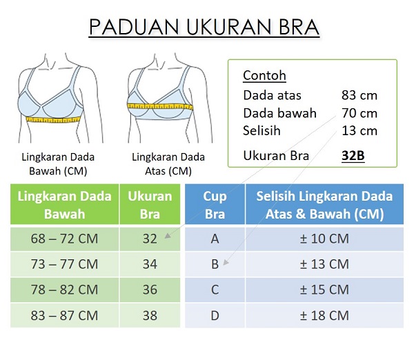 Ukuran Bra